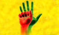 سازمان وکالت