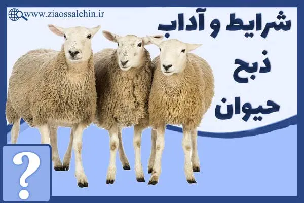 احکام، شرایط، آداب، مستحبات و مکروهات ذبح حیوان