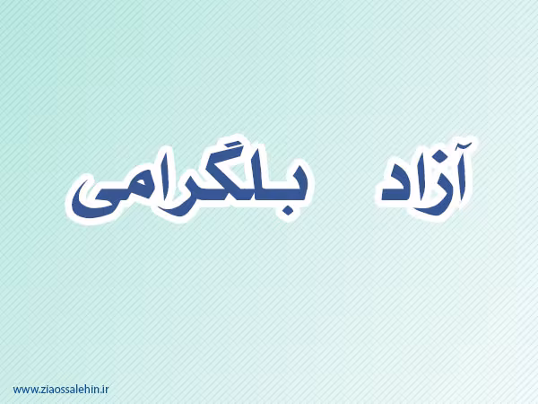 آزاد بلگرامی,گنجینه تصاویر ضیاءالصالحین