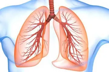 تاثیر ورزش بر ریه