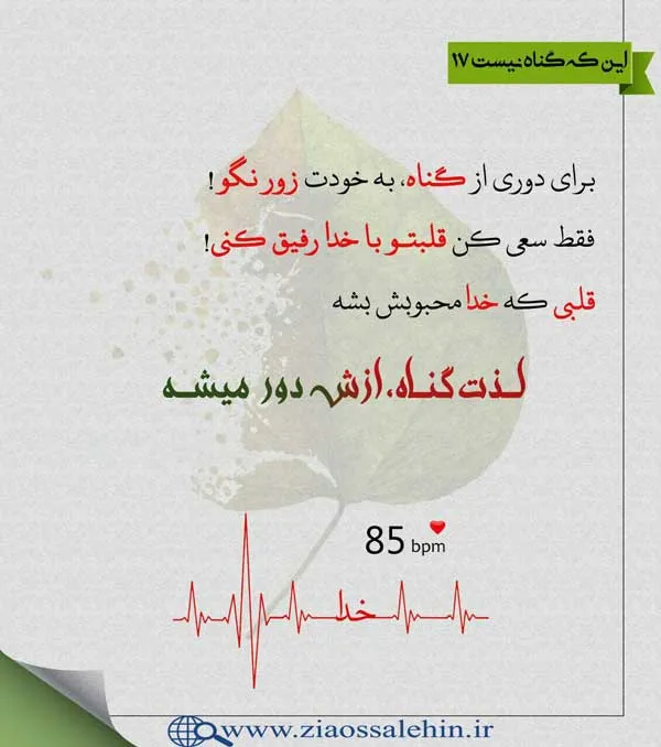 گناه و عواقب آن - استاد شجاعی / جلسه 17
