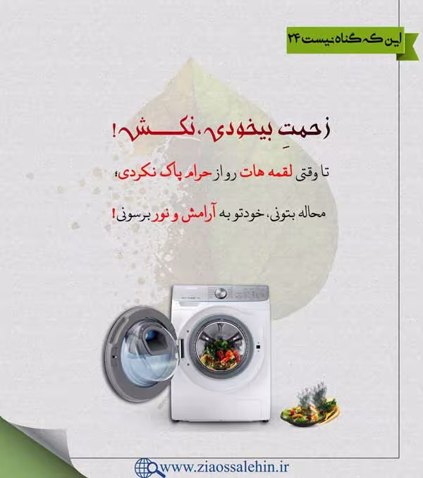 گناه و عواقب آن - استاد شجاعی / جلسه 24