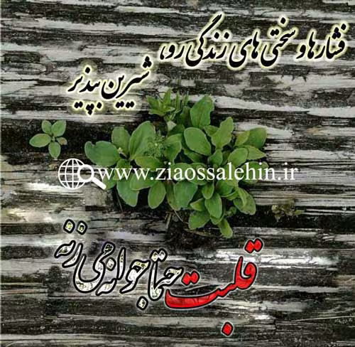 روانشناسی قلب - استاد محمد شجاعی بخش 75