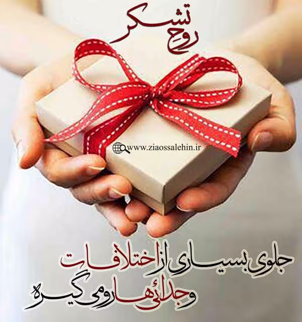 مباحث «شُکر» - استاد محمد شجاعی | جلسه 14