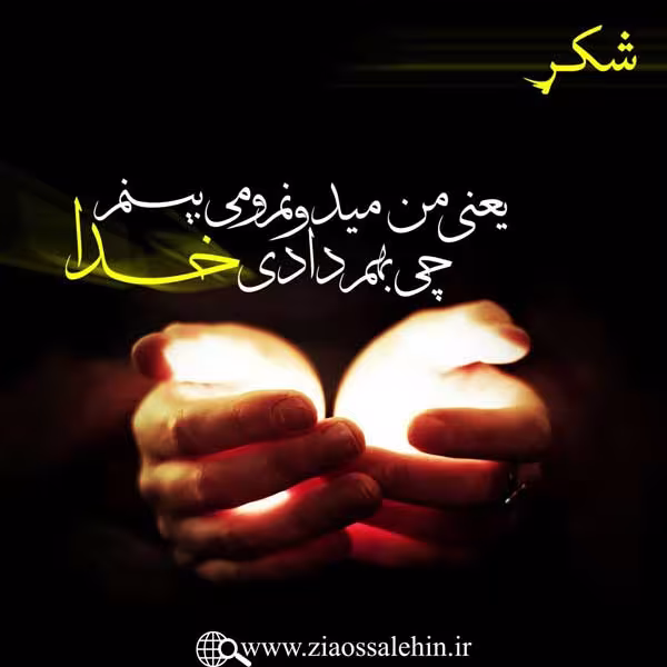 مباحث «شُکر» - استاد محمد شجاعی / جلسه 31