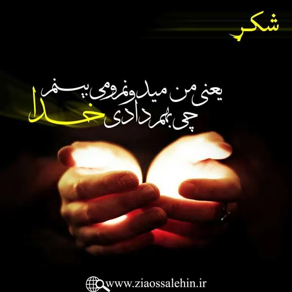 مباحث «شُکر» - استاد محمد شجاعی / جلسه 31