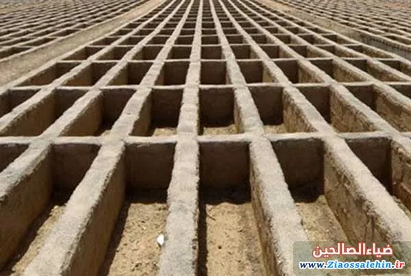هر کسی را در قبر خود گذارند