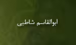 ابوالقاسم شاطبی_امام القراء