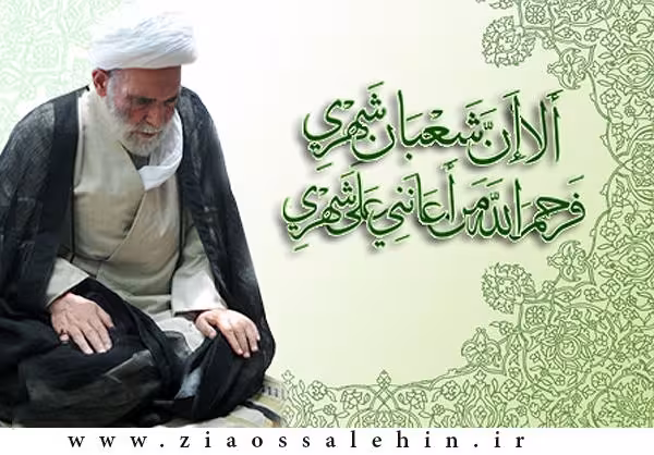آیت الله آقا مجتبی تهرانی(ره)