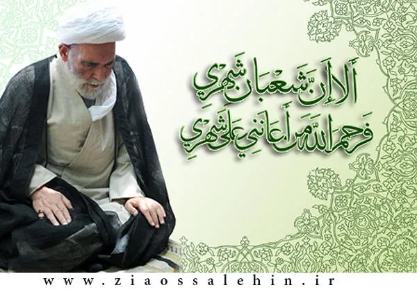 آیت الله آقا مجتبی تهرانی(ره)