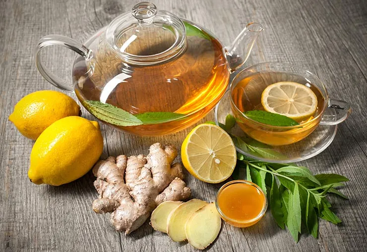 قوی ترین آنتی بیوتیک های طبیعی برای رفع عفونت بدن