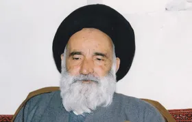 آیت اللَّه سیدمهدی روحانی,گنجینه تصاویر ضیاءالصالحین