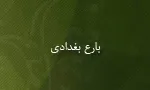 بارع بغدادی