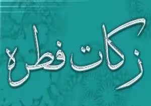 ضیاءالصالحین