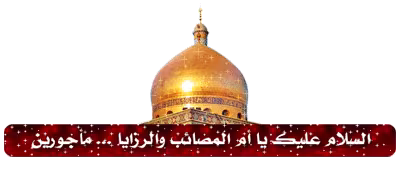ضیاءالصالحین