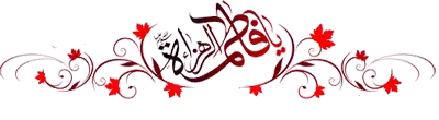 ضیاءالصالحین