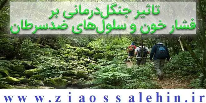 تاثیر جنگلدرمانی بر فشار خون و سلولهای ضدسرطان