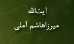 آیت اللَّه میرزا هاشم آملی,گنجینه تصاویر ضیاءالصالحین
