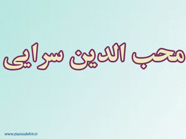 محب الدین سرایى,مفسر,دانشمند مسلمان,فقیه مسلمان,گنجینه تصاویر ضیاءالصالحین
