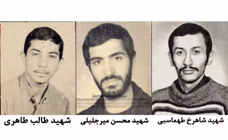 شهادت سه پاسدار كمیته انقلاب اسلامی,گنجینه تصاویر ضیاءالصالحین