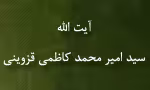 آیت الله سیدامیرمحمد کاظمی قزوینی(گنجینه تصاویر ضیاءالصالحین)