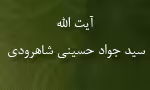 آیت  اللَّه سید جواد حسینی آل علی شاهرودی