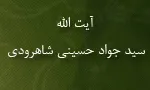 آیت اللَّه سید جواد حسینی آل علی شاهرودی