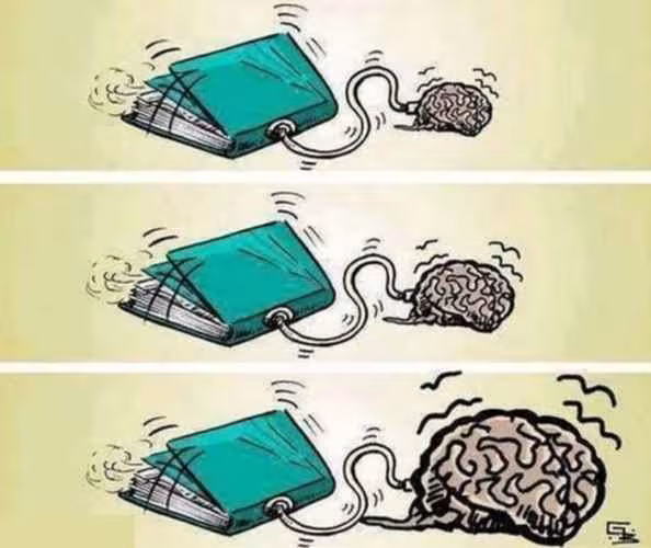 شبکه اجتماعی