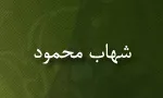 ابوالثناء شهاب الدین محمود بن سلیمان بن فهد حلبی دمشقی(گنجینه تصاویر ضیاءالصالحین)