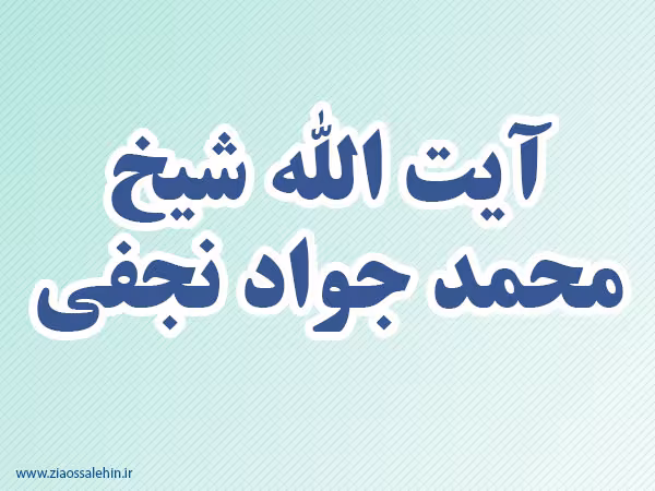 آیت الله شیخ محمد جواد نجفی,گنجینه تصاویر ضیاءالصالحین