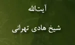 آیت اللَّه شیخ هادی تهرانی,عالم و فقیه مسلمان,گنجینه تصاویر ضیاءالصالحین