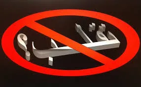 ضیاءالصالحین