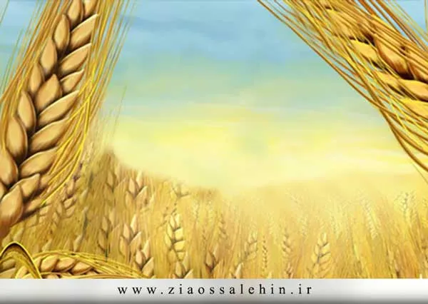 موارد مصرف زکات