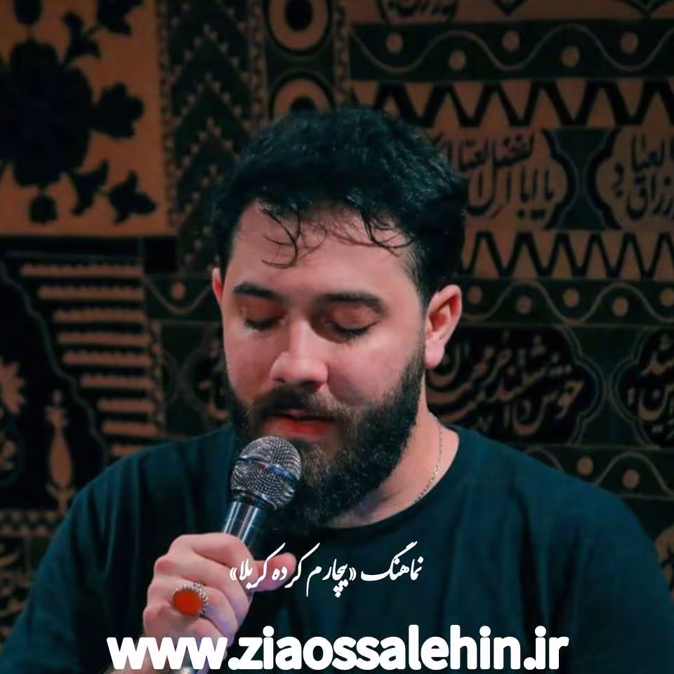 نماهنگ«بیچارم کرده کربلا» بانوانی امین قدیم 